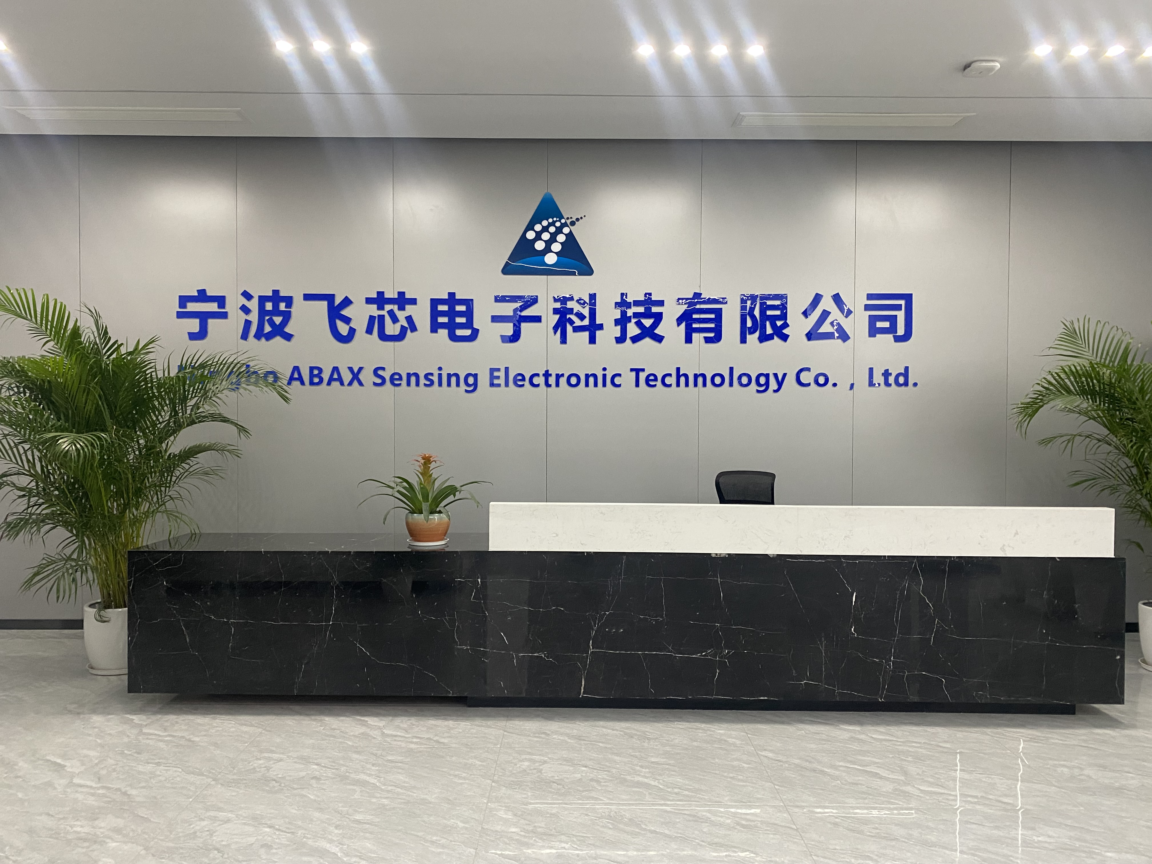 熱烈歡迎奉化區(qū)委領導一行走訪飛芯電子調研